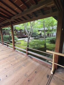 木の縁側と手すりの向こうに広がる、緑の苔と木々の中庭