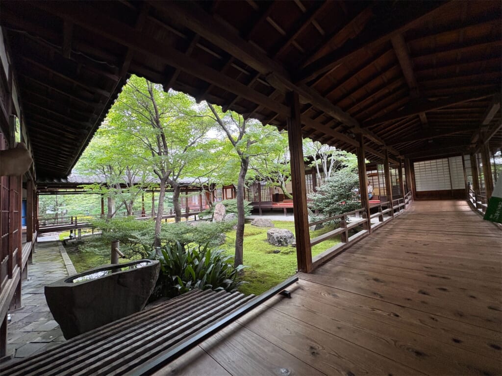 木の渡り廊下と、その横に広がる苔と木々の庭