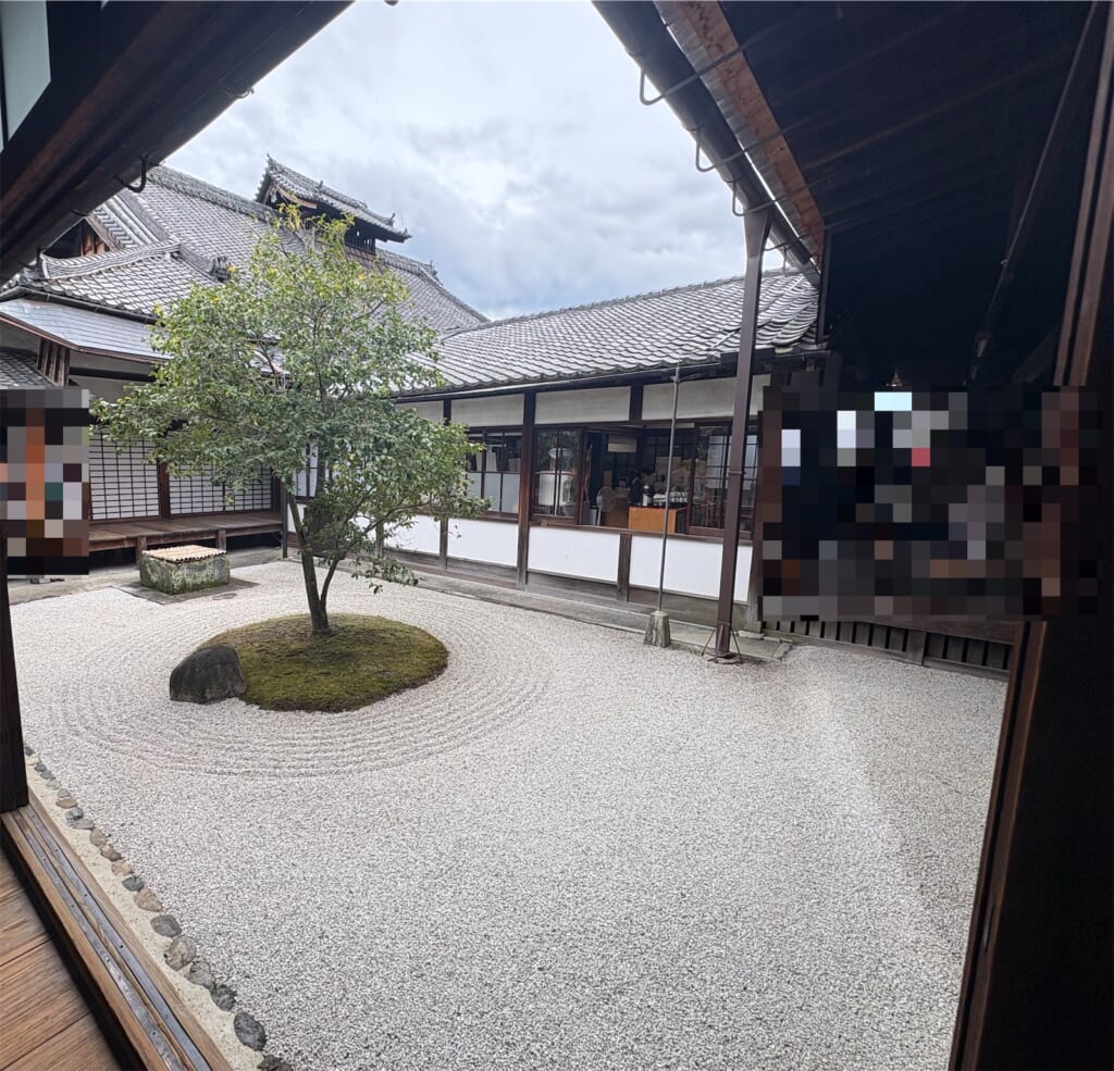 建物に囲まれた白砂の庭に、丸く盛られた苔と一本の木