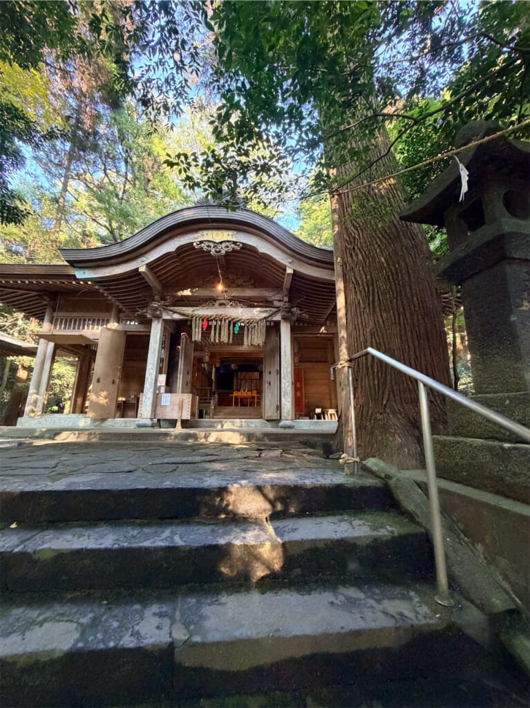 石段の先に見える槵觸神社の社殿