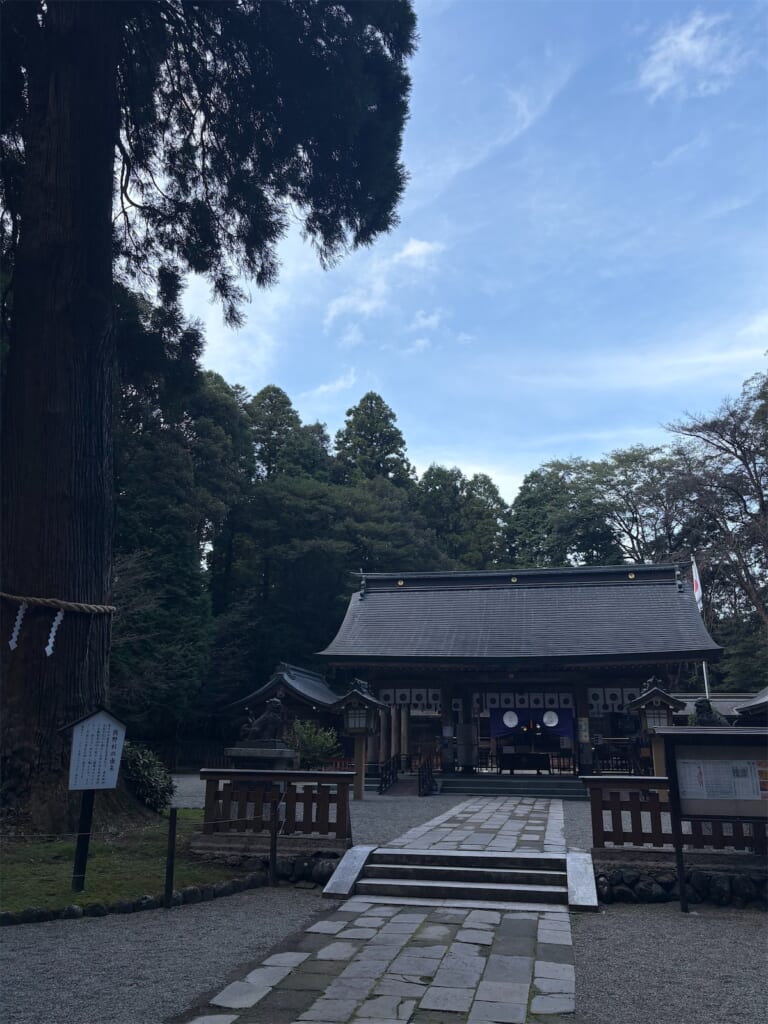 大きな杉の木の向こうに見える狭野神社の社殿と、石畳の参道