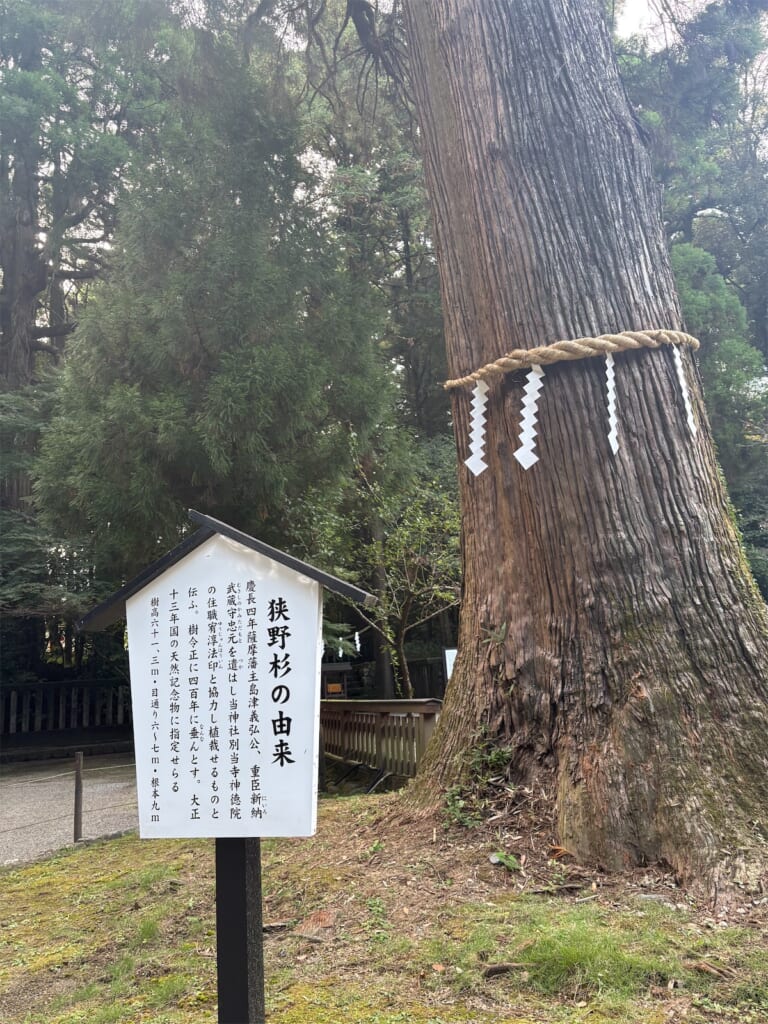 しめ縄が巻かれた太い杉の幹と、「狭野杉の由来」と書かれた案内板